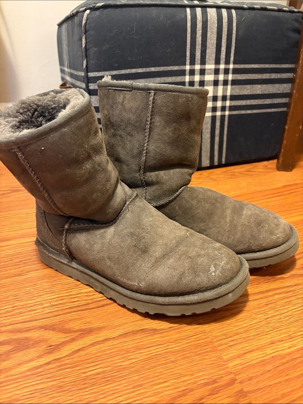 Gray Short Classic Ugg Boots